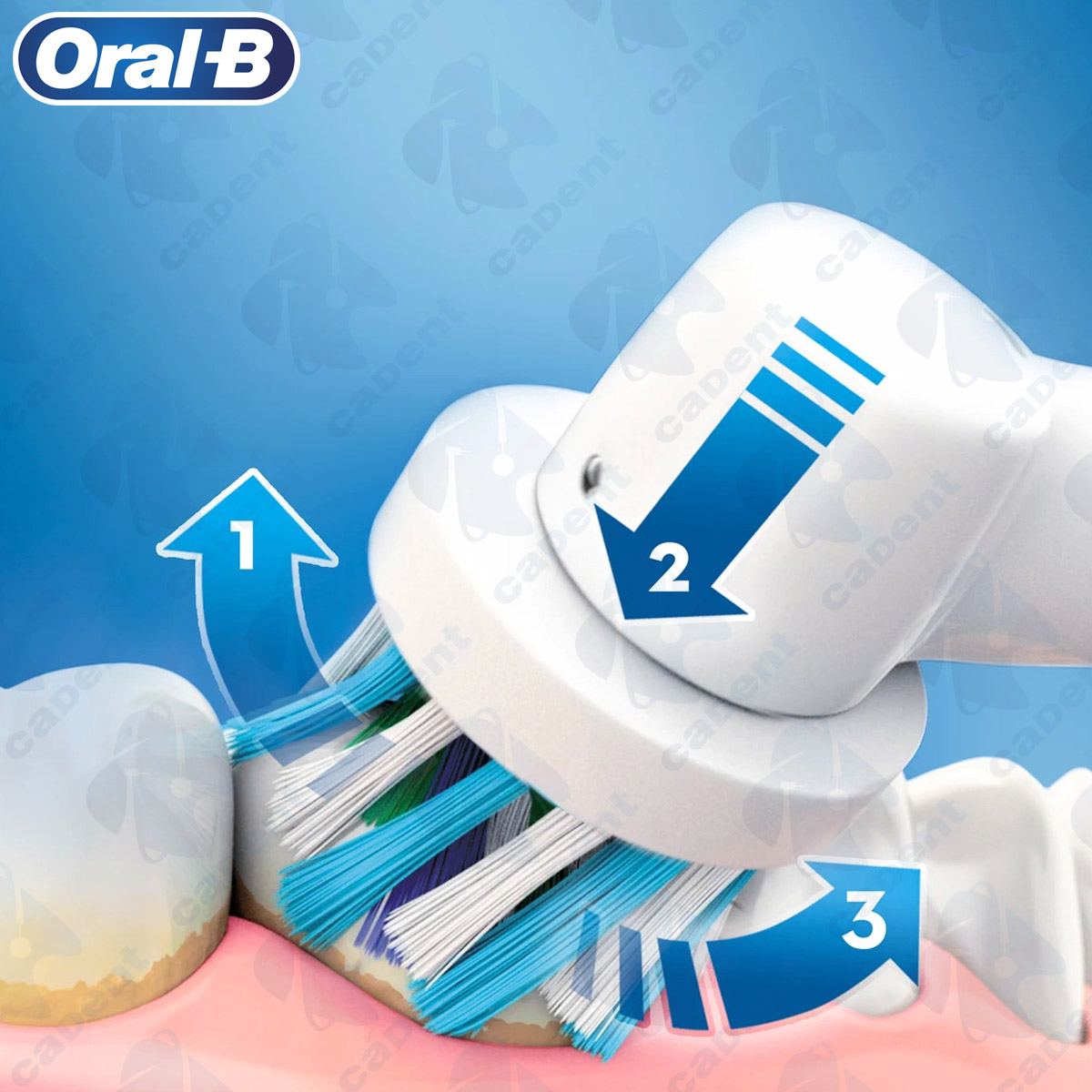 CEPILLO ELECTRICO ORAL-B PRO 2000 - Cadent